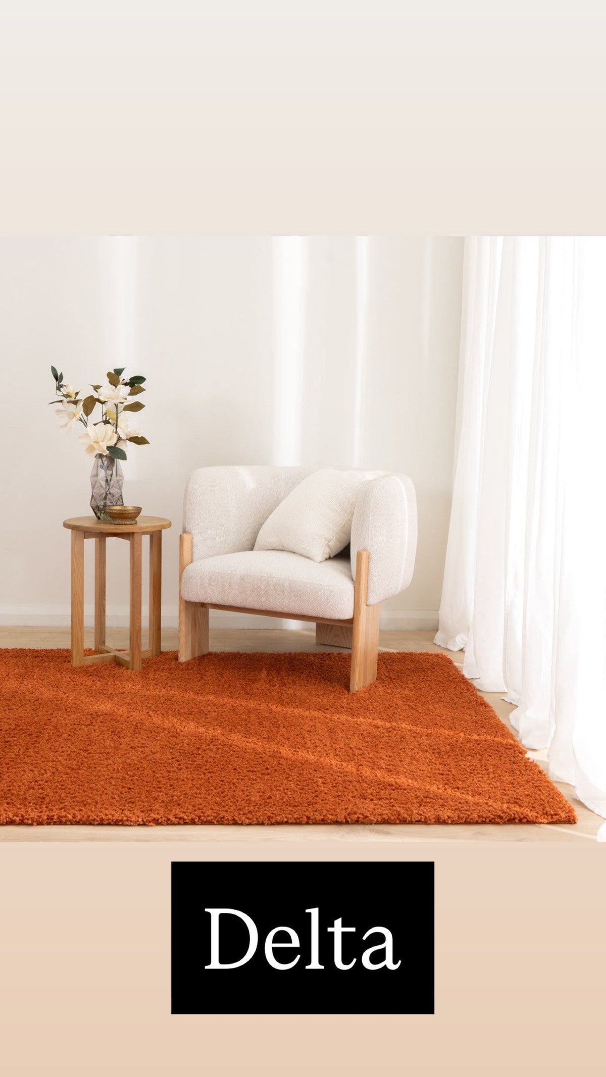 Delta Rugs