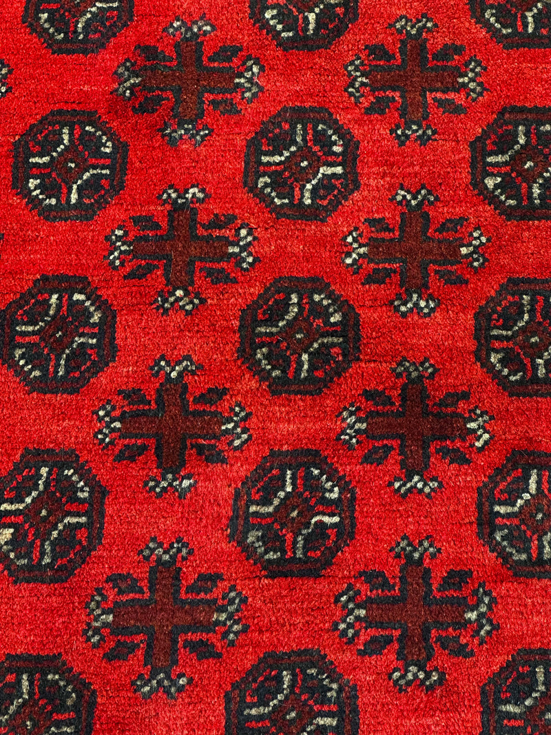 Bokhara Afghan Akhche Tribal Rug (STK550-2119) 239X170CM