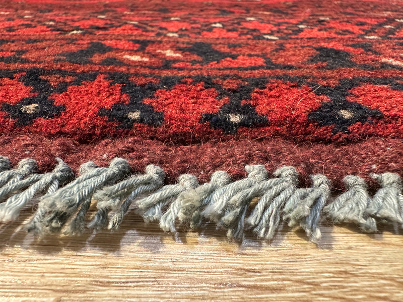 Bokhara Afghan Akhche Tribal Rug (STK550-2118) 244X157CM