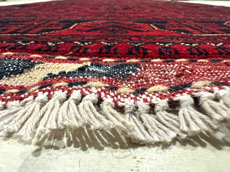 Kamyab Afghan Fine Handmade Tribal Wool Runner Rug (550-2113) 595X80cm