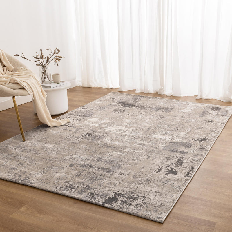 Envy Timeless Abstract Beige Grey Rug 1
