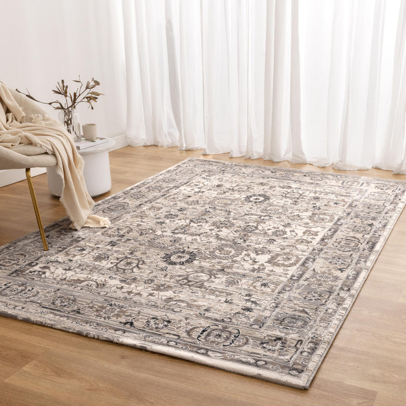 Envy Transitional Beige Grey Rug 5