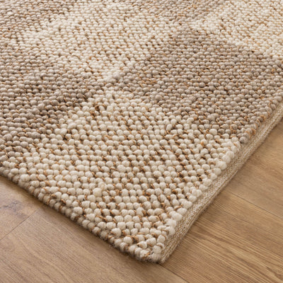 Hamilton Check Beige Ivory Jute and Wool Rug