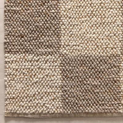 Hamilton Check Beige Ivory Jute and Wool Rug