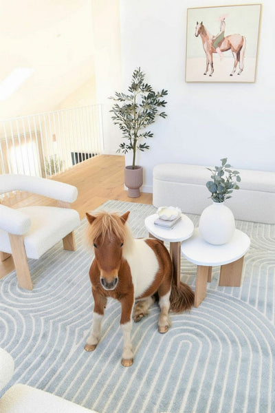 Rosella Coco 02 Blue Haze Rug