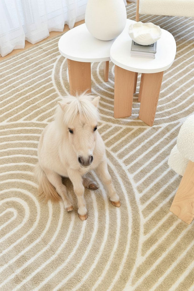 Rosella Coco 02 Cocoa Soft Rug