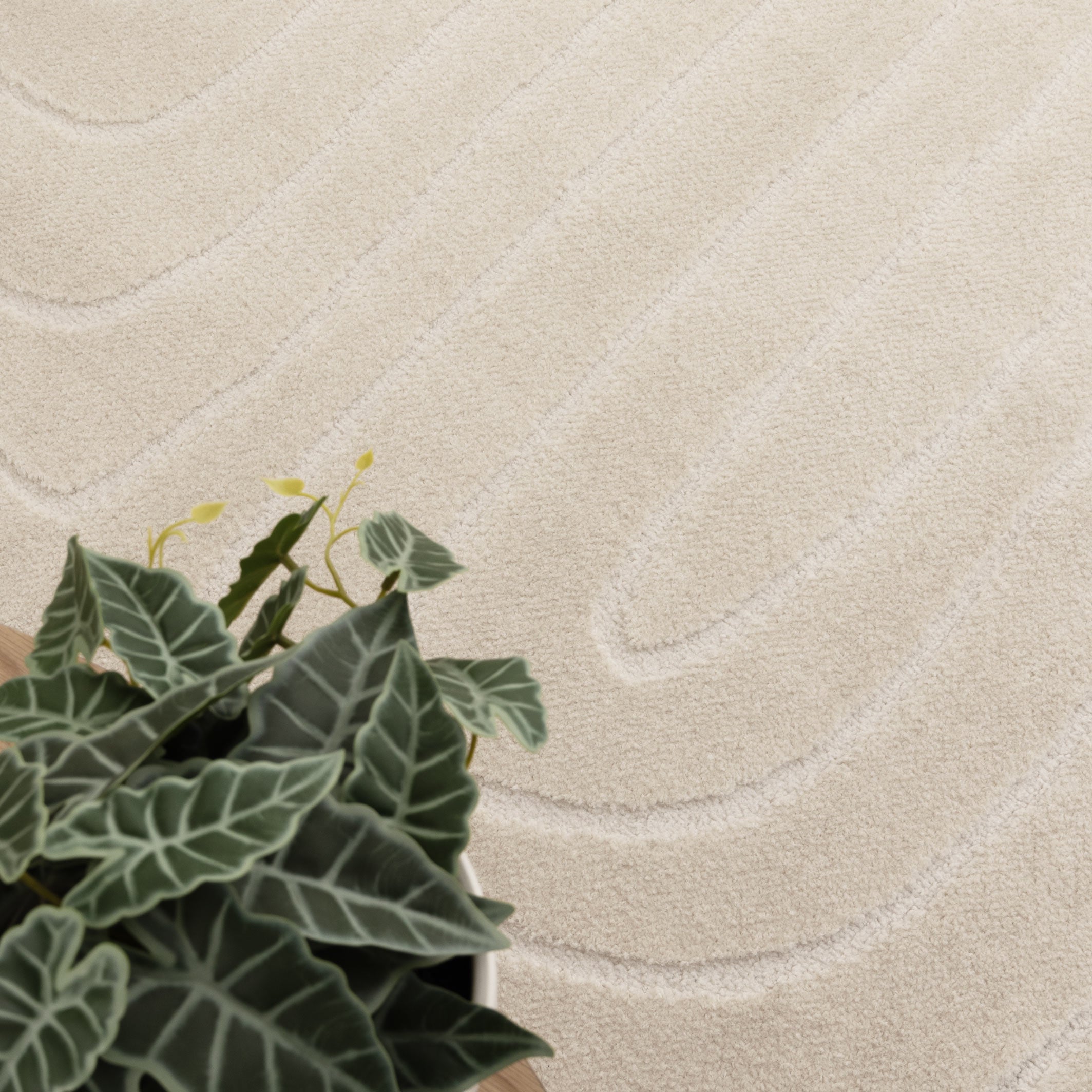 Coco Arch Lines Cream 7 Rug – Rugs Online Rugs