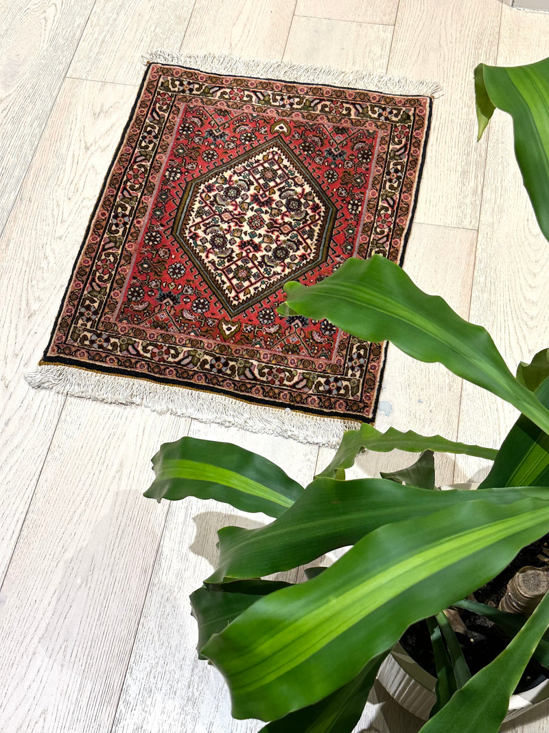 Herati Handmade Fish Design Wool Rug (STK 304-60) 64x53cm, Rugs Online Rugs Sydney Australia, www.rugsonlinerugs.com.au