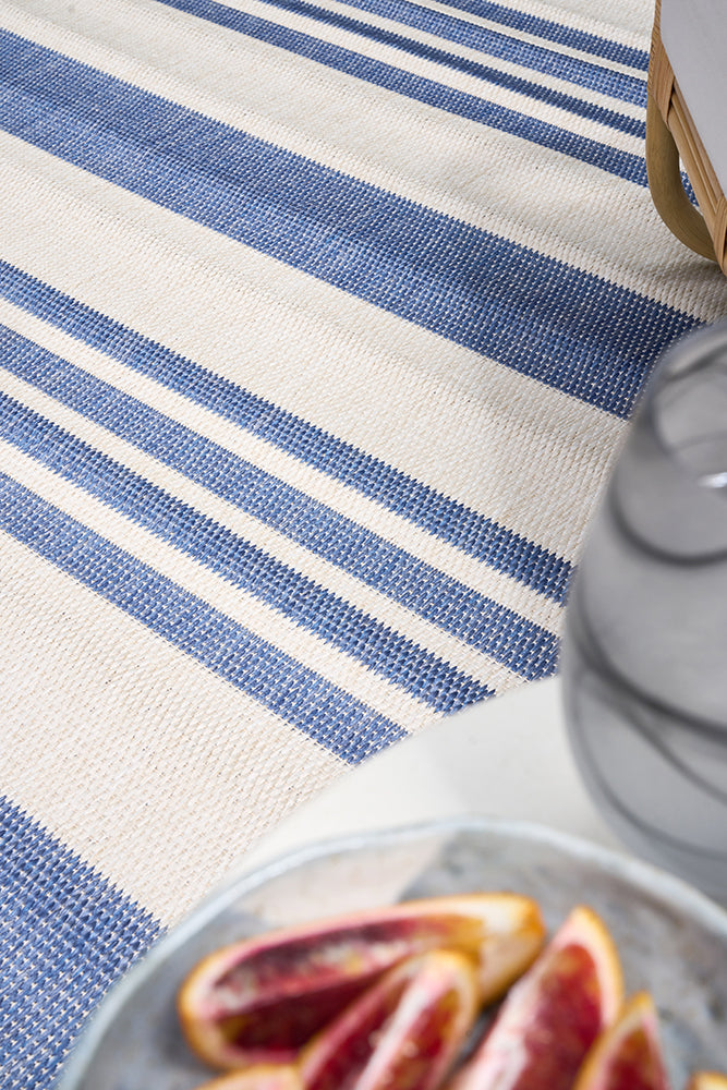 Florida Outdoor Indoor Alvi Blue Rug