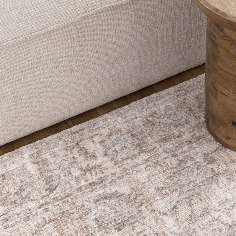 Harper Antic Beige Blue Transitional Rug 300