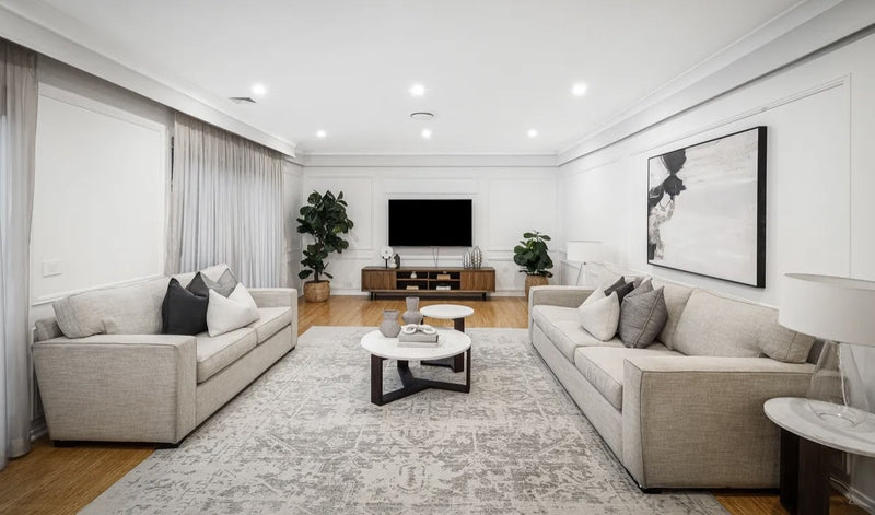 Evoke Dream White Silver Transitional Rug